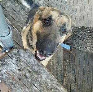 Meet your Posher, Araceli